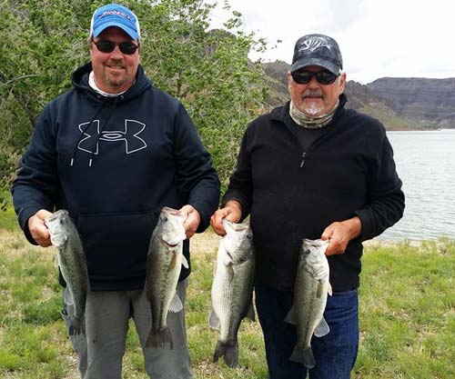 2016 Owyhee Photo